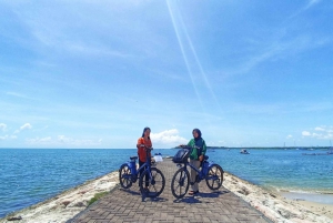 Sanur, Bali: E-bike Rental
