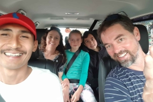 Sanur: Melhor Translado Privado do Aeroporto de Bali De/Para a Área de Sanur