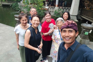 Sanur: Melhor Translado Privado do Aeroporto de Bali De/Para a Área de Sanur