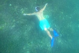 サヌール：沿岸エリアでのシュノーケリングセッション