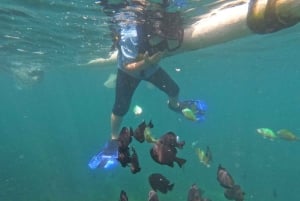 Sanur: Coastal Area Snorkeling Session