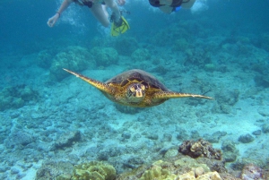 Porto de Sanur: Excursão a Nusa Penida Oeste com mergulho com snorkel na Manta