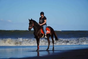 Sanur: Paardrijden op het strand van Bali 30 minuten rijden