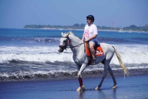 Sanur: Paardrijden op het strand van Bali 30 minuten rijden