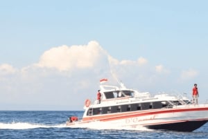 Sanur: Nusa Lembongan Traslado en barco rápido