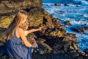 Sanur: Escursione di una giornata a Nusa Penida