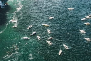 Sanur: Escursione di una giornata a Nusa Penida