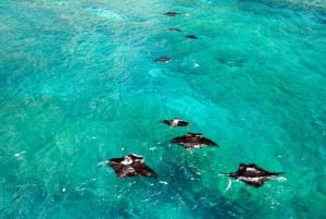 Sanur: Escursione di una giornata a Nusa Penida