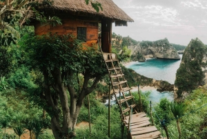 Sanur: Nusa Penida One Day Trip