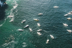 Sanur: Nusa Penida One Day Trip