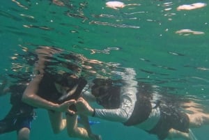 Sanur : Snorkeling at Sanur Coastal Area