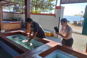 Sanur Village E-bike Tour: Family-Friendly Adventure