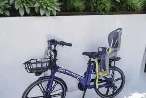 Sanur Village E-bike Tour: Family-Friendly Adventure