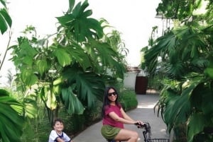 Sanur Village E-bike Tour: Family-Friendly Adventure