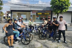 Sanur Village & Turtle Sanctuary E-Bike Tour