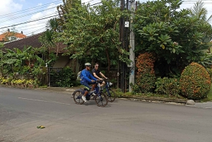Sanur Village & Turtle Sanctuary E-Bike Tour