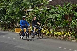 E-biketocht door dorp Sanur en schildpaddenopvang