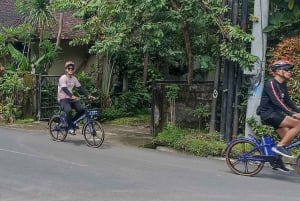 Sanur Village & Turtle Sanctuary E-Bike Tour