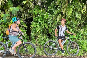 バリ島サイドメンの田園地帯を巡る美しいサイクリングツアー