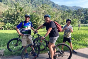 バリ島サイドメンの田園地帯を巡る美しいサイクリングツアー