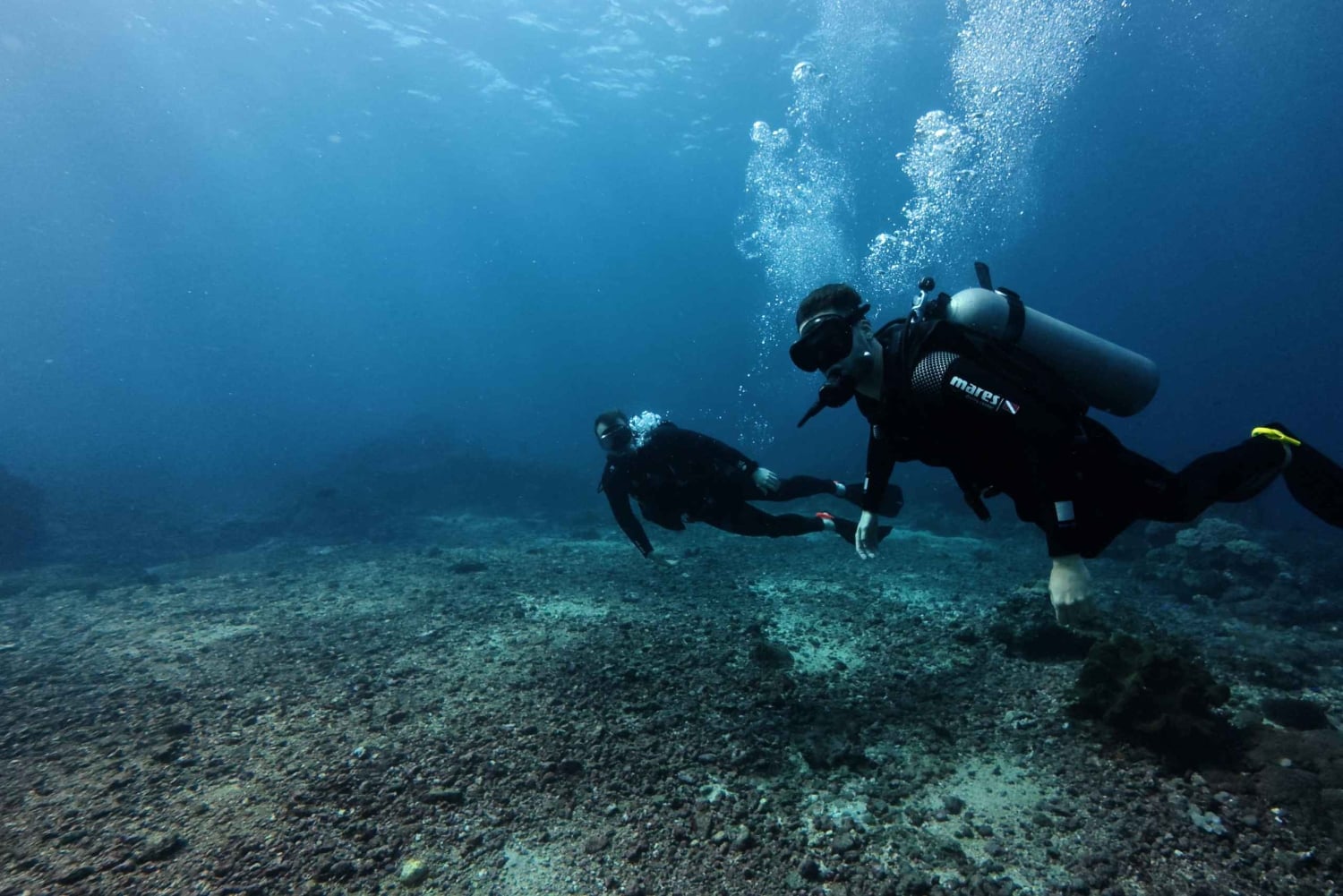Scuba diving/snorkeling in Nusa Penida with manta rays