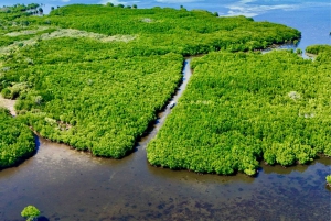 Secret Gili's Lombok: Gili Kondo, Kapal, Petagan, Bidara