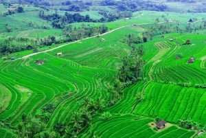 Bali: tour personalizzato dei tesori nascosti del nord