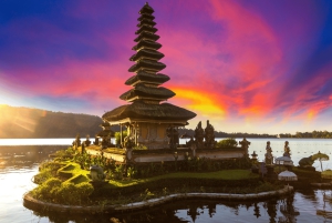 Bali: tour personalizzato dei tesori nascosti del nord