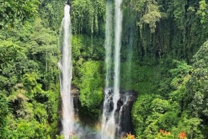 Sekumpul Jungle Trekking with Best Bali Waterfall Tour