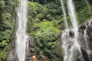 Sekumpul Jungle Trekking with Best Bali Waterfall Tour