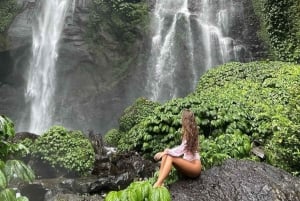 Sekumpul Jungle Trekking with Best Bali Waterfall Tour