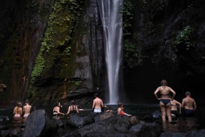 Sekumpul Waterfall Jungle Trekking