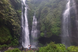 Sekumpul Waterfall Jungle Trekking