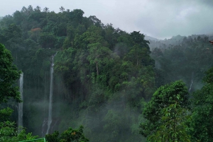 Sekumpul Waterfall Jungle Trekking