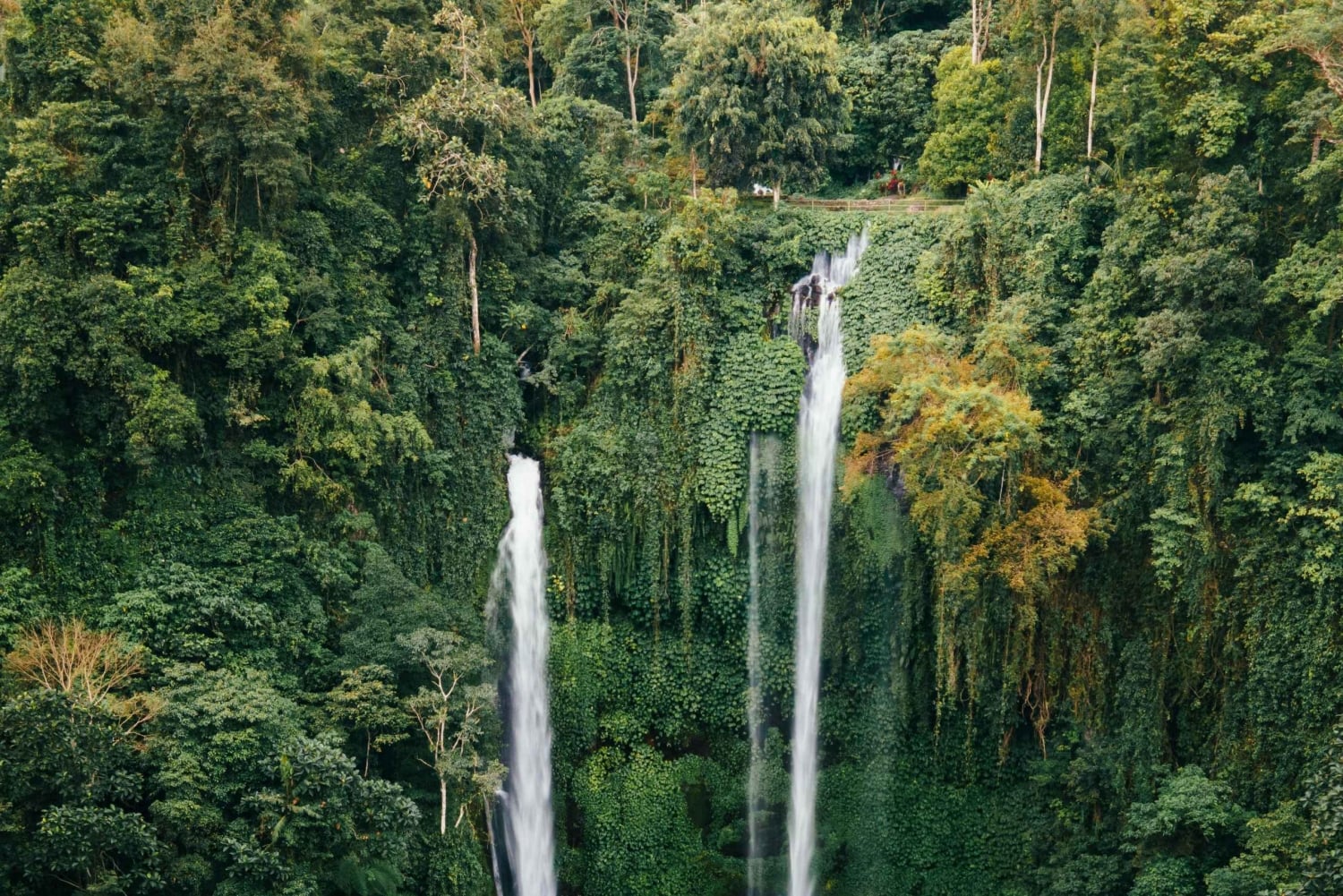 Sekumpul Waterfall Trekking