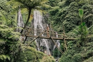 Sekumpul Waterfall Trekking