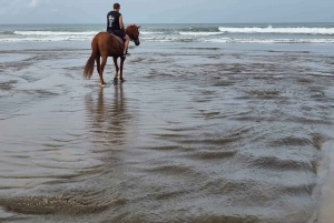 تجربة ركوب الخيل على شاطئ سيمينياك