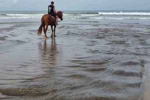 Experiencia de paseo a caballo por la playa de Seminyak