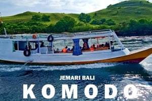 Compartilhando excursão de 1 dia em Komodo para mochileiros com barco lento