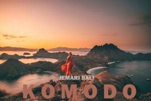 Dela heldagstur till Komodo för backpackers med långsam båt
