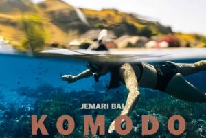 Tour condiviso di un giorno intero a Komodo per viaggiatori con zaino in spalla con barca lenta