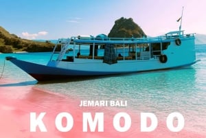 Dzielenie się całodniową wycieczką Komodo Tour For Backpacker With Slow Boat