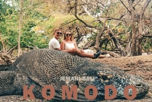 Compartir tour de día completo por Komodo para mochileros con slow boat