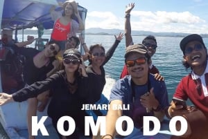 Deling av heldagstur til Komodo for ryggsekkturister med saktegående båt