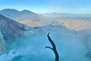 Viagem partilhada: Excursão a Bromo e Ijen com relaxamento em águas termais
