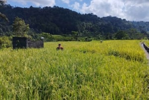 Sidemen Adventures: The Scenic Rice Fields and Village Life