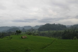 Sidemen Adventures: The Scenic Rice Fields and Village Life