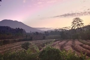 Sidemen Adventures: The Scenic Rice Fields and Village Life