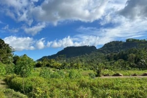 Sidemen Adventures: The Scenic Rice Fields and Village Life