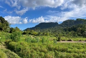 Sidemen Adventures: The Scenic Rice Fields and Village Life